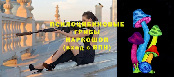 индика Арсеньев