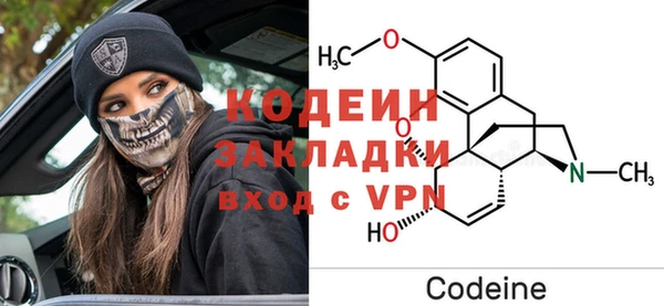 индика Арсеньев