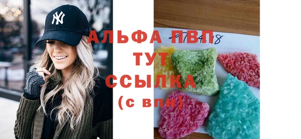 индика Арсеньев