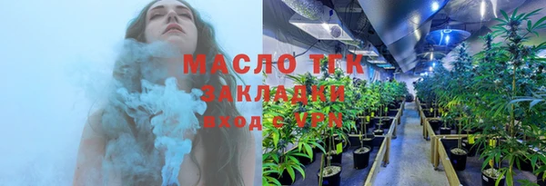 индика Арсеньев