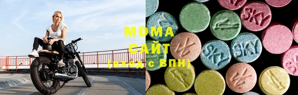 индика Арсеньев