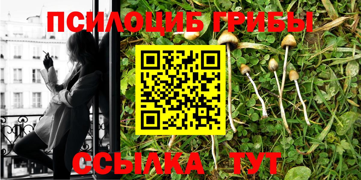 Галлюциногенные грибы мицелий  Галлюциногенные грибы прущие грибы  Кондопога  Вход с VPN 